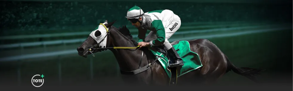 篮球战场独,中十元,精心备战,火狐官网,火狐体育APP,HuoHu,火狐平台