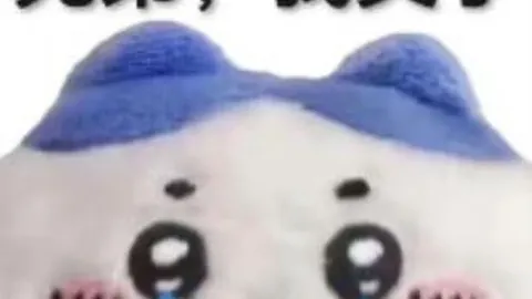 大湾区双园协同创新，河套深港科技合作区焕发新动能